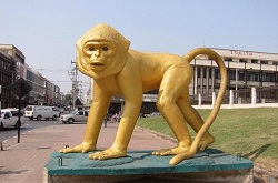 جشنواره ضیافت میمون ها در تایلند